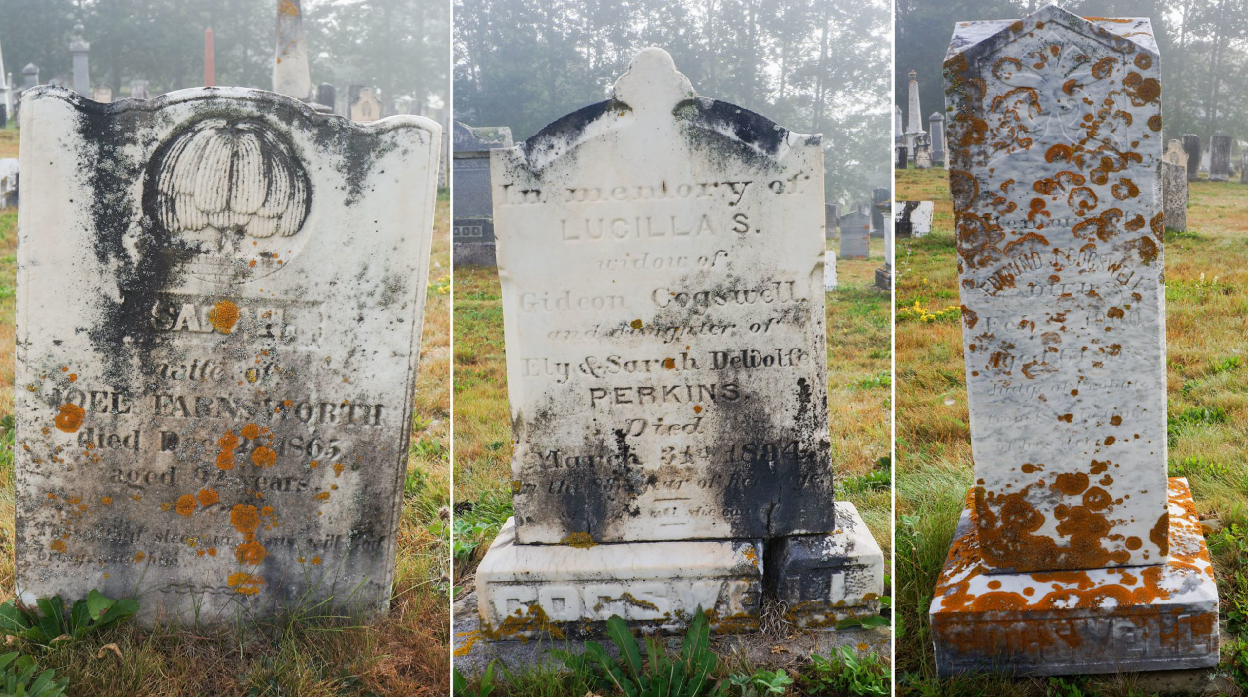 3 Generations of Perkins Gravestones