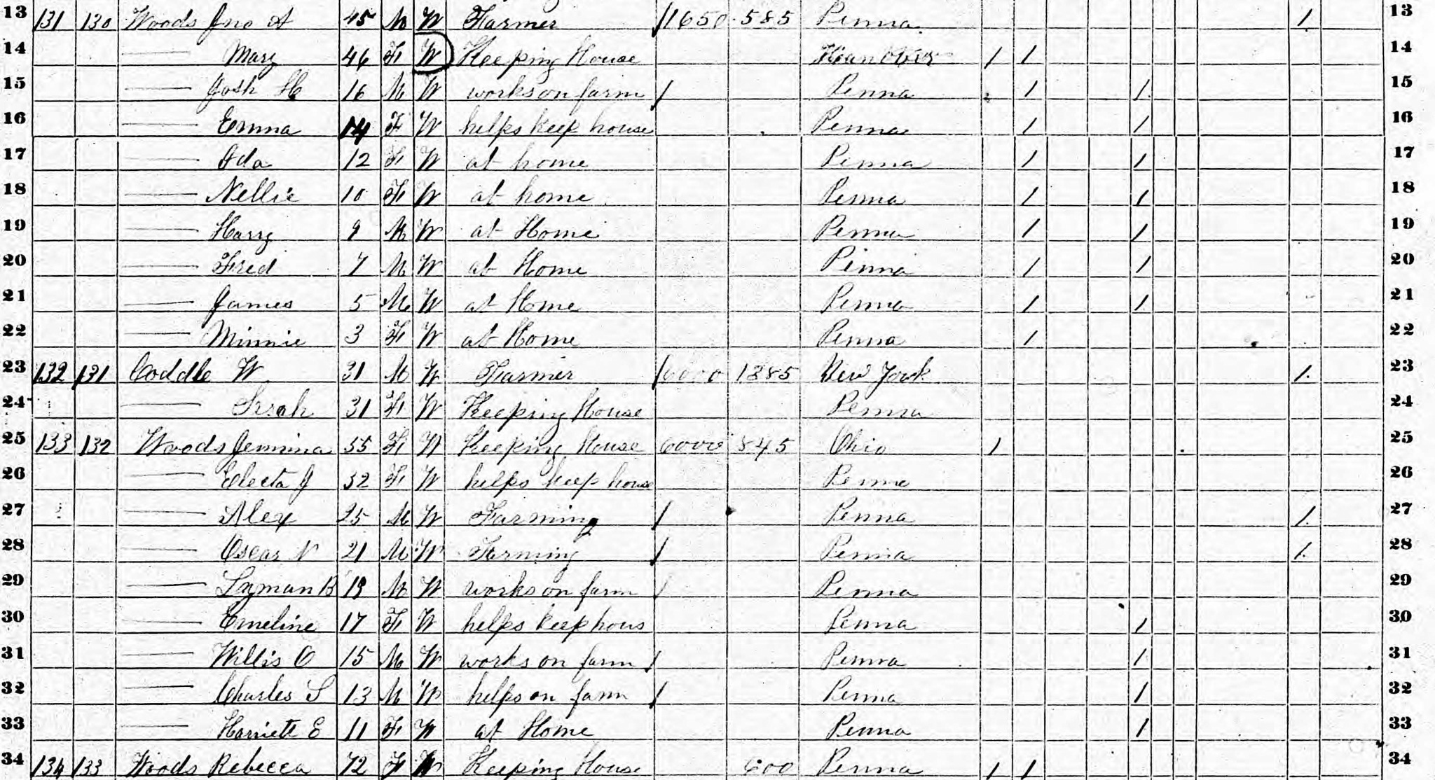 Jemima Woods 1870 Census