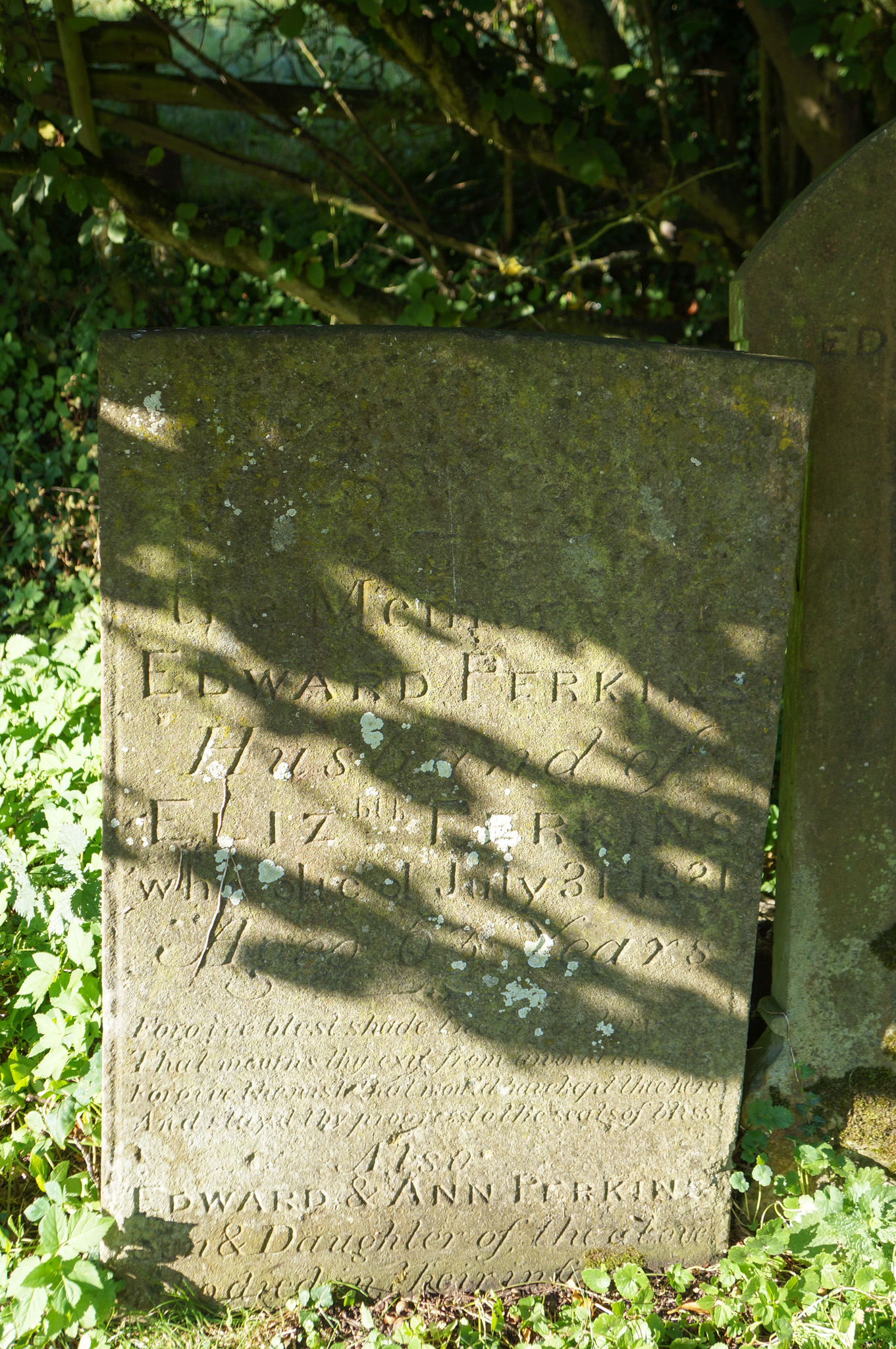 Perkins family gravestone