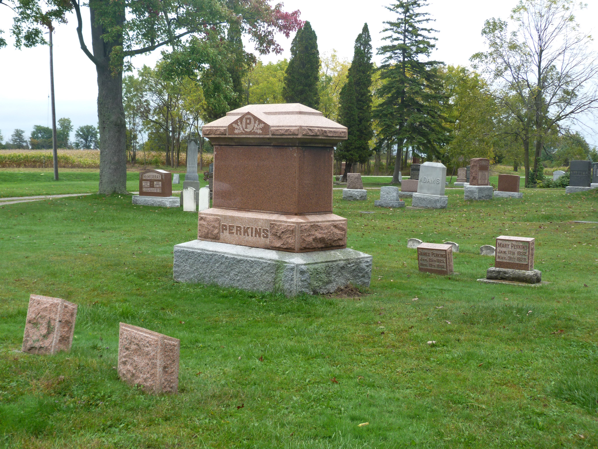 Perkins Family Gravestones