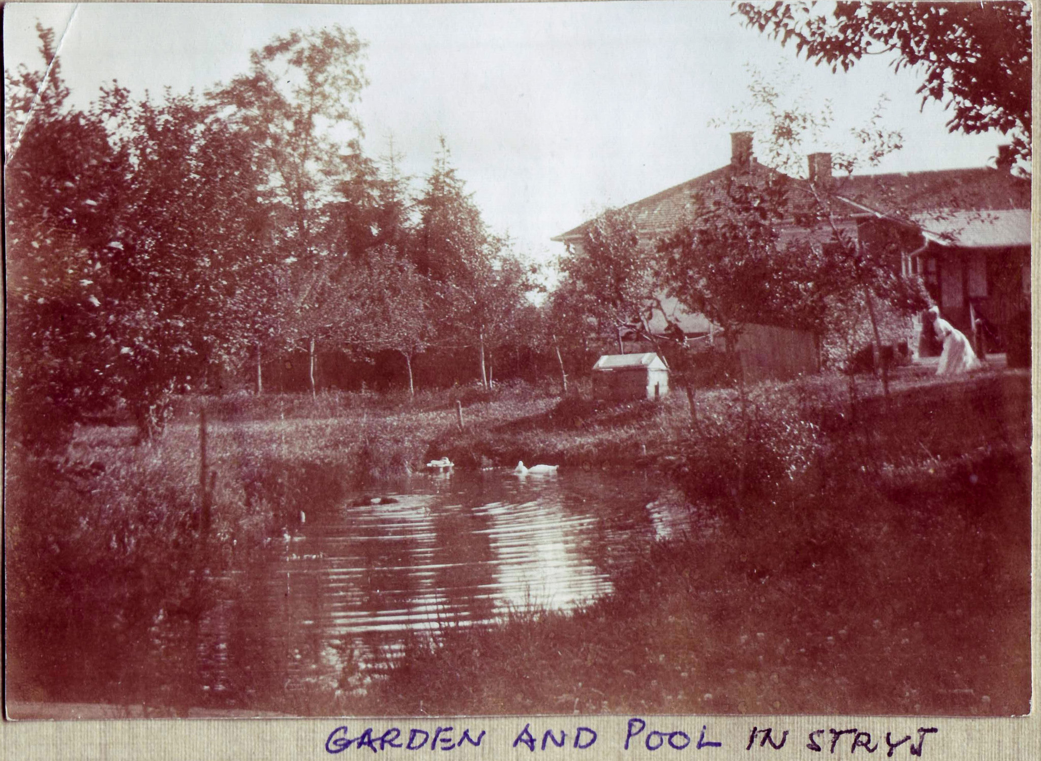 Garden and Pool in Stryj