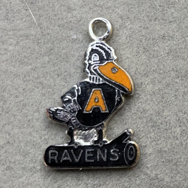 Anderson Ravens