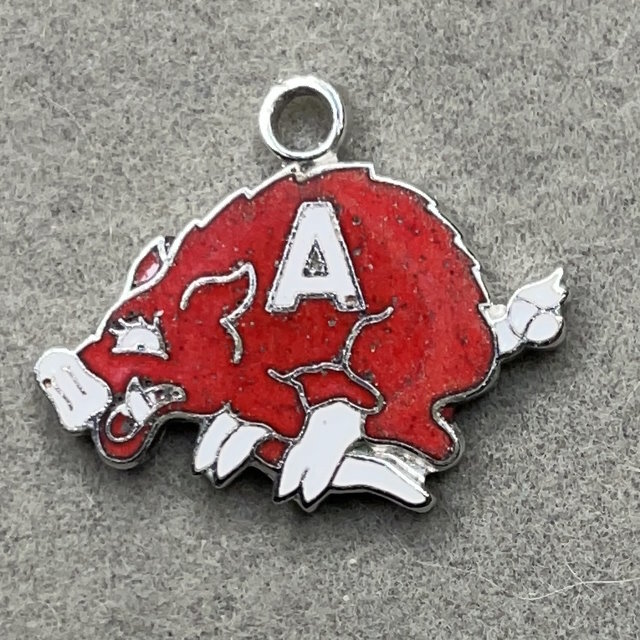 Arkansas Razorbacks