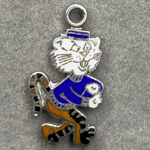 Auburn Tigers