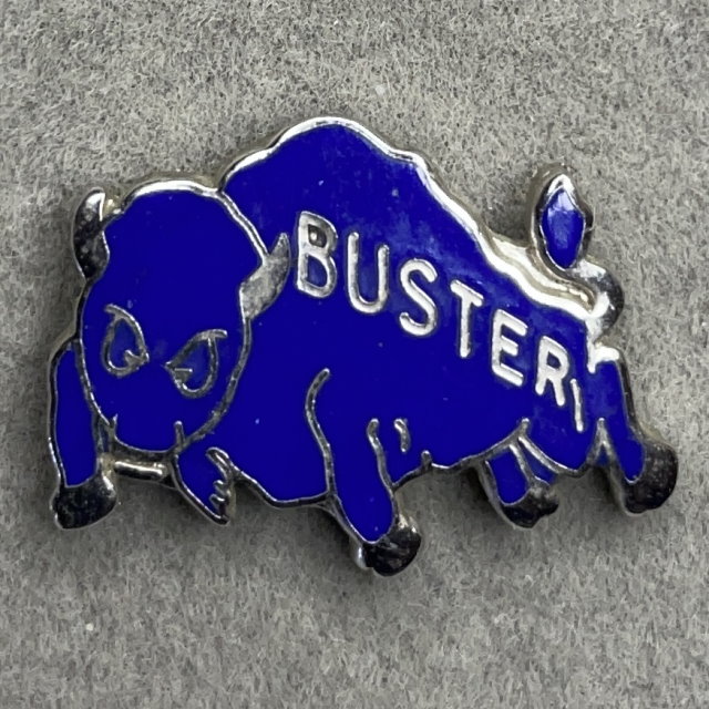 Buffalo Bulls