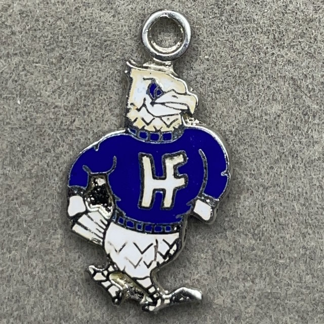 Henry Ford Hawks