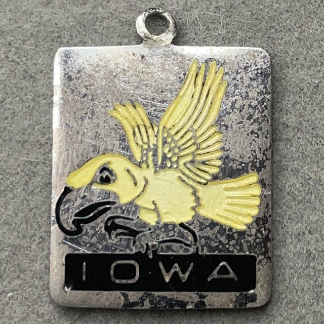 Iowa Hawkeye