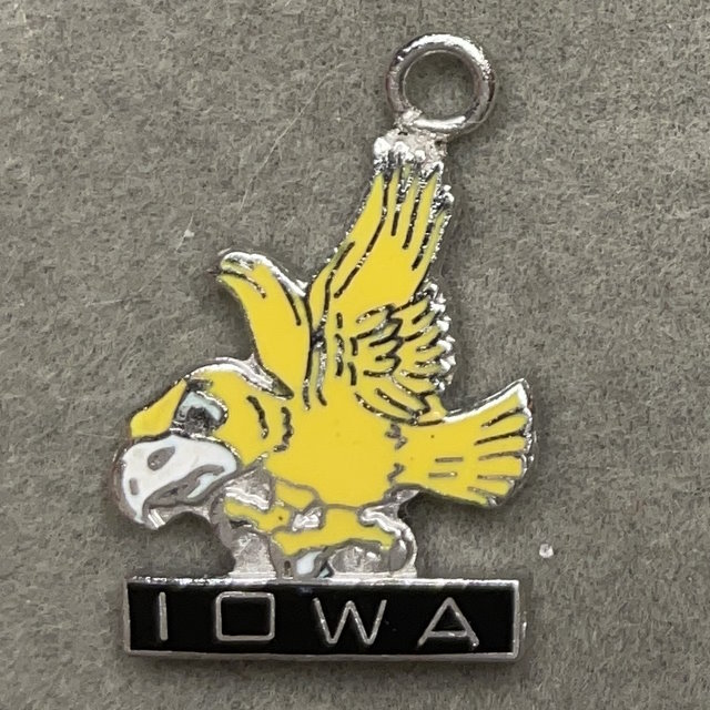 Iowa Hawkeyes
