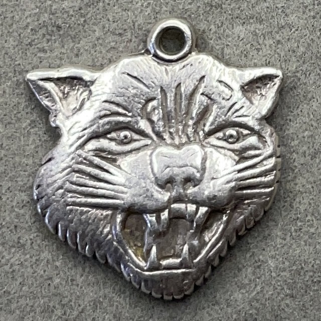 New Hampshire Wildcats