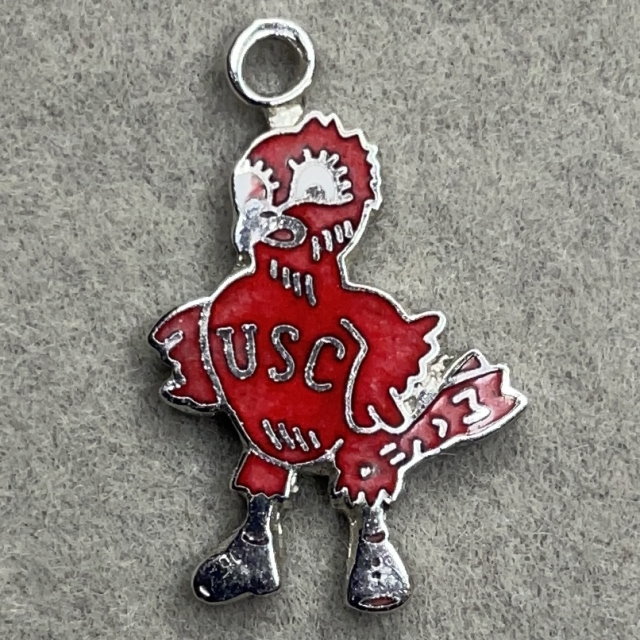 South Carolina Gamecocks