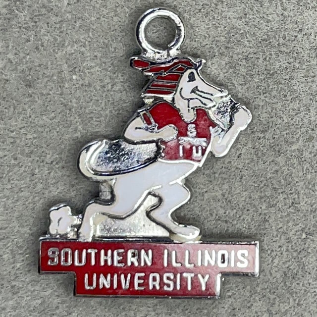 Southern Illinois Salukis