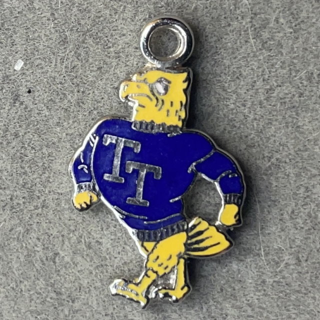 Tennessee Tech Golden Eagles