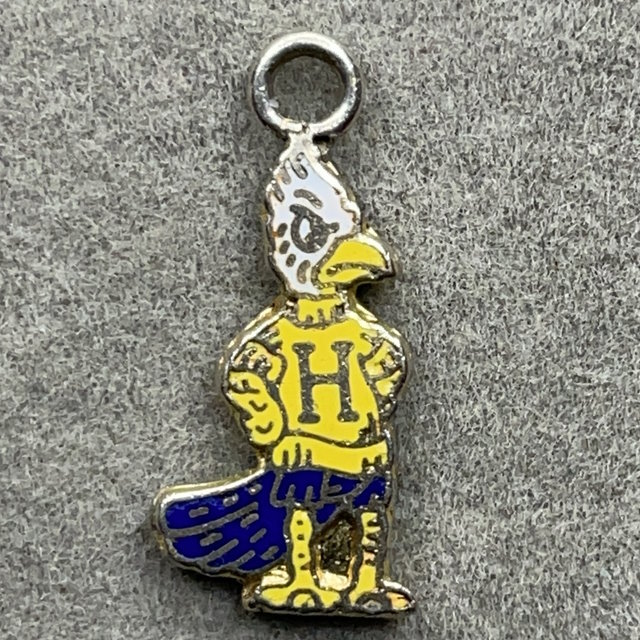 Unknown H Bird