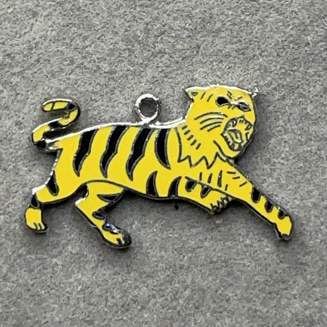 Tiger - Black and Yellow 2