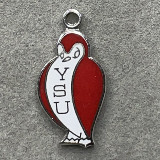 Youngstown State Penguins