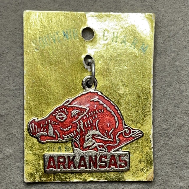 Arkansas Razorbacks